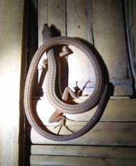 Java Grass Lizard photo 2