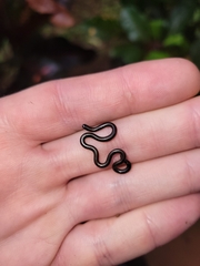 Taylor's Blind Snake