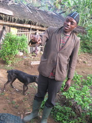 Rousettus aegyptiacus