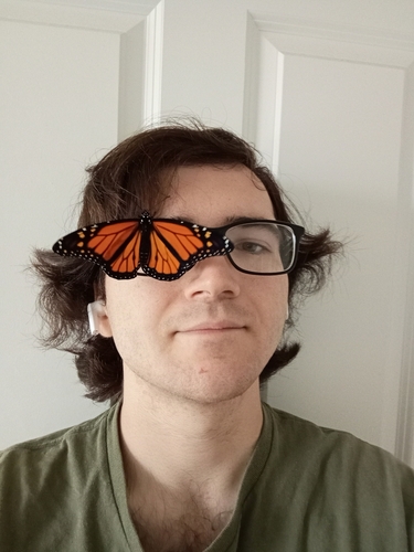 Monarch photographed in Mississippi