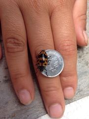 Oligocorynus caciqus