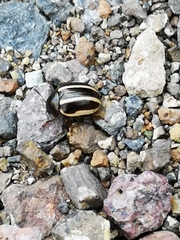 Leptinotarsa tlascalana