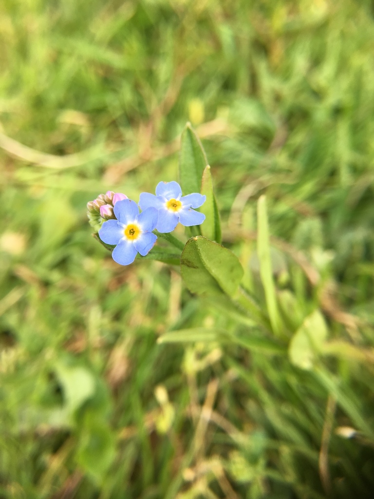 water from 297 31, Degeberga, Skåne, SE on July 08, 2019