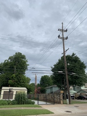 Ictinia mississippiensis