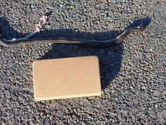 Nerodia clarkii clarkii