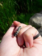 Natrix natrix
