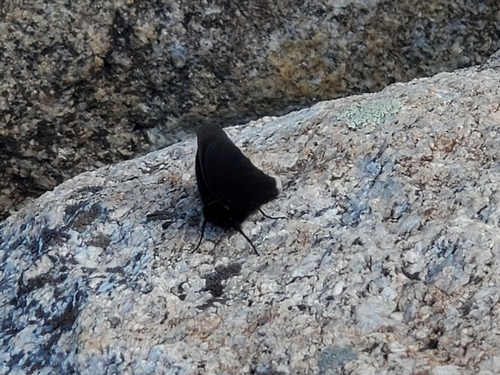Magdalena Alpine photo 5