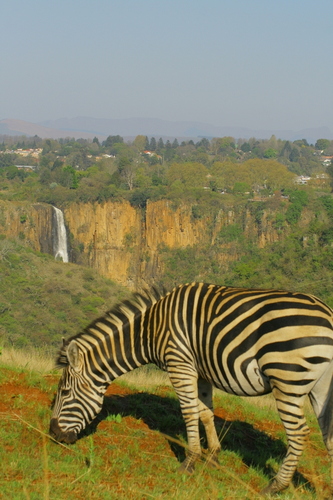 (c) JR Ferrer-Paris, some rights reserved (CC BY)