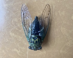 Neotibicen latifasciatus