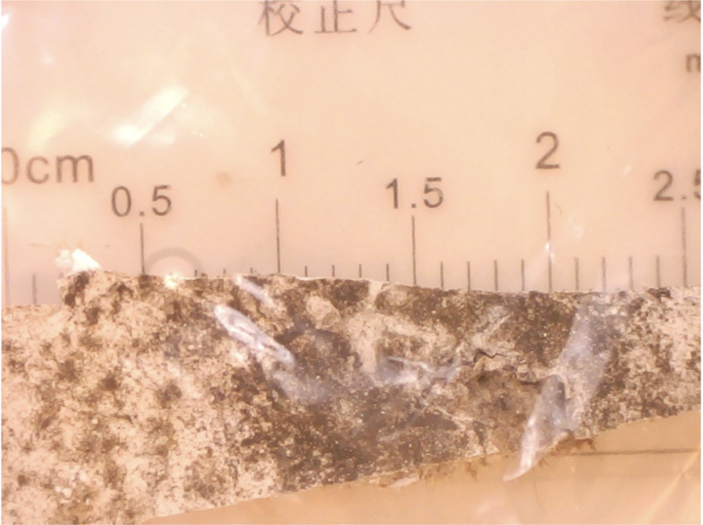 Cladosporium sphaerospermum