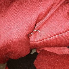 Hemidactylus turcicus