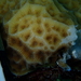 Low Relief Lettuce Coral - Photo (c) Pim Bongaerts, some rights reserved (CC BY-NC), uploaded by Pim Bongaerts