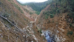 Psilocybe muliercula