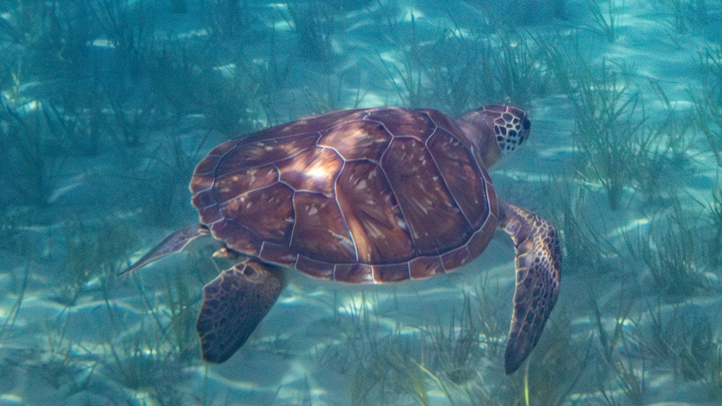 Photo by Falk Viczian Solarboot-Projekte gGmbH