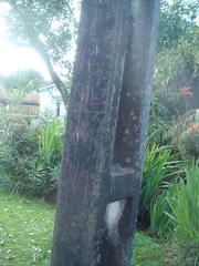 Protoblastenia rupestris