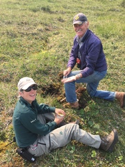 Arctiostrotus fontinalis