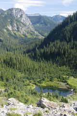 Cryptogramma cascadensis