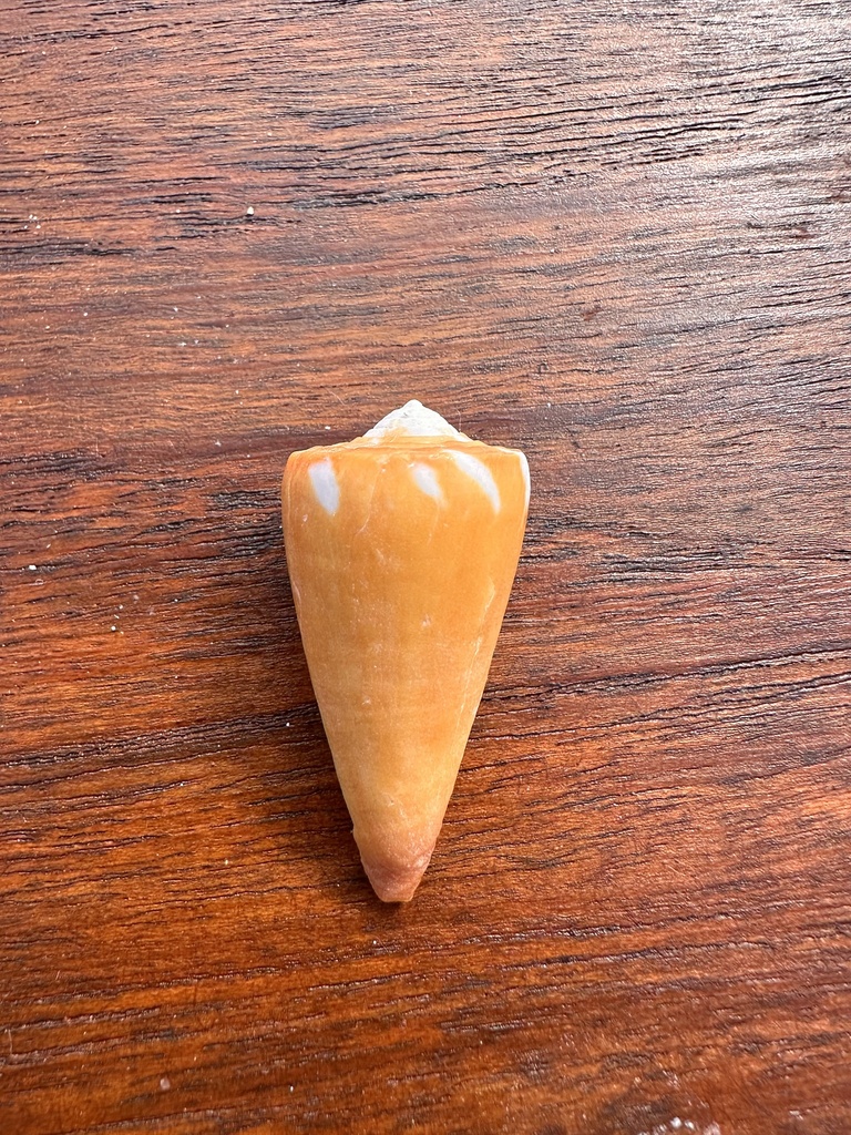 Lithograph cone