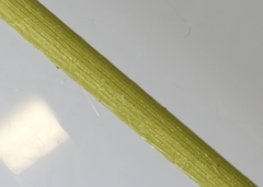 Dichanthelium implicatum