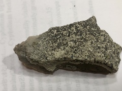 Dimelaena
