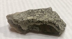 Dimelaena