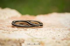 Pine-Oak Snake photo 2