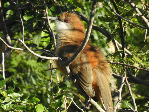 Loma Palo Seco