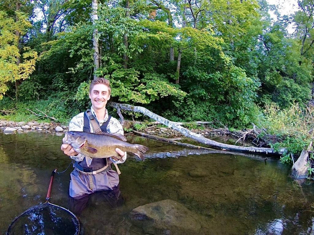 Smallmouth bass (Micropterus dolomieu) — Centrarchidae