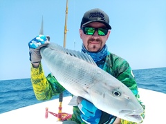 Green Jobfish photo 4