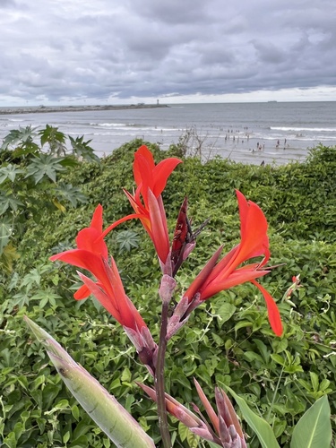 Foto de Biri