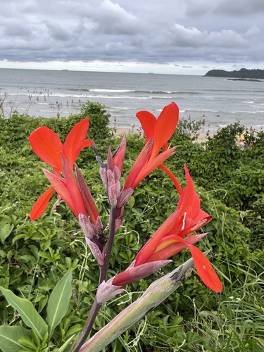 Foto de Biri