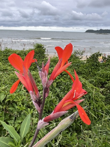 Foto de Biri