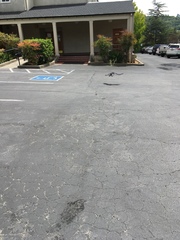 Corvus brachyrhynchos