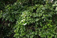 © graham_g, some rights reserved (CC-BY-NC)