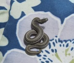 Tropidoclonion lineatum