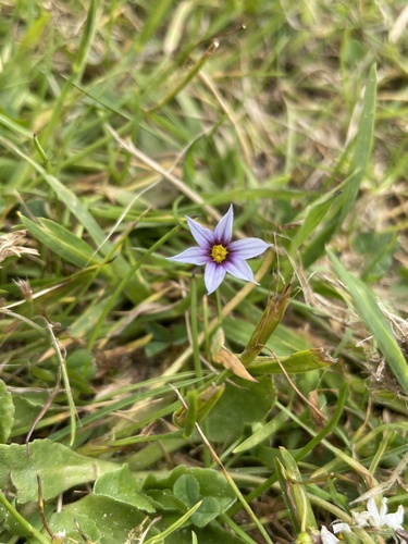 Foto de Puxirum