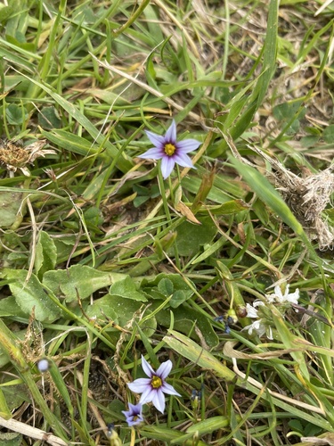 Foto de Puxirum