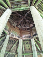 Hipposideros armiger terasensis