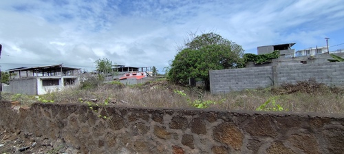 Foto de Chaya