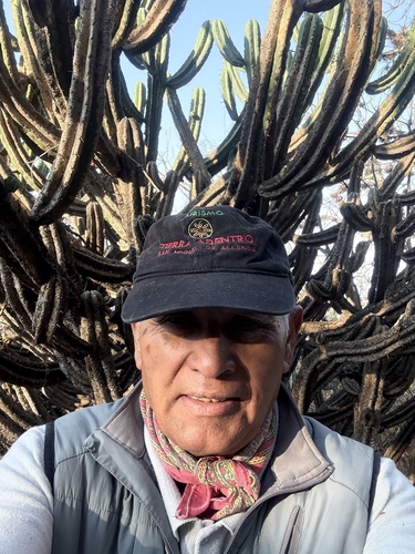Foto de Candelabro mexicano