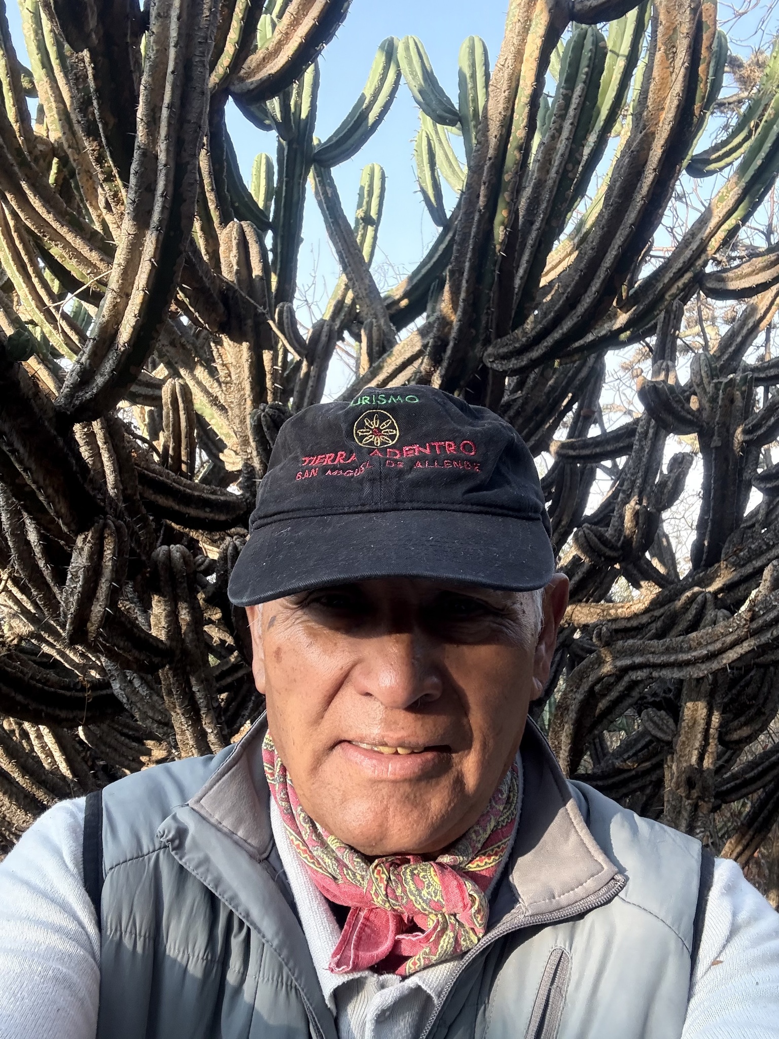 Imagem de Candelabro mexicano