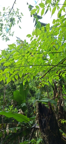 Foto de Itajubá