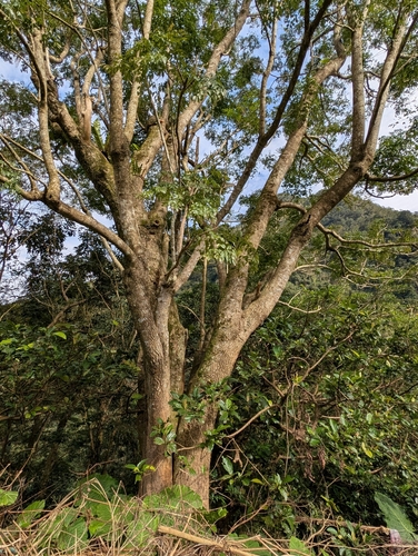 Foto de Itajubá