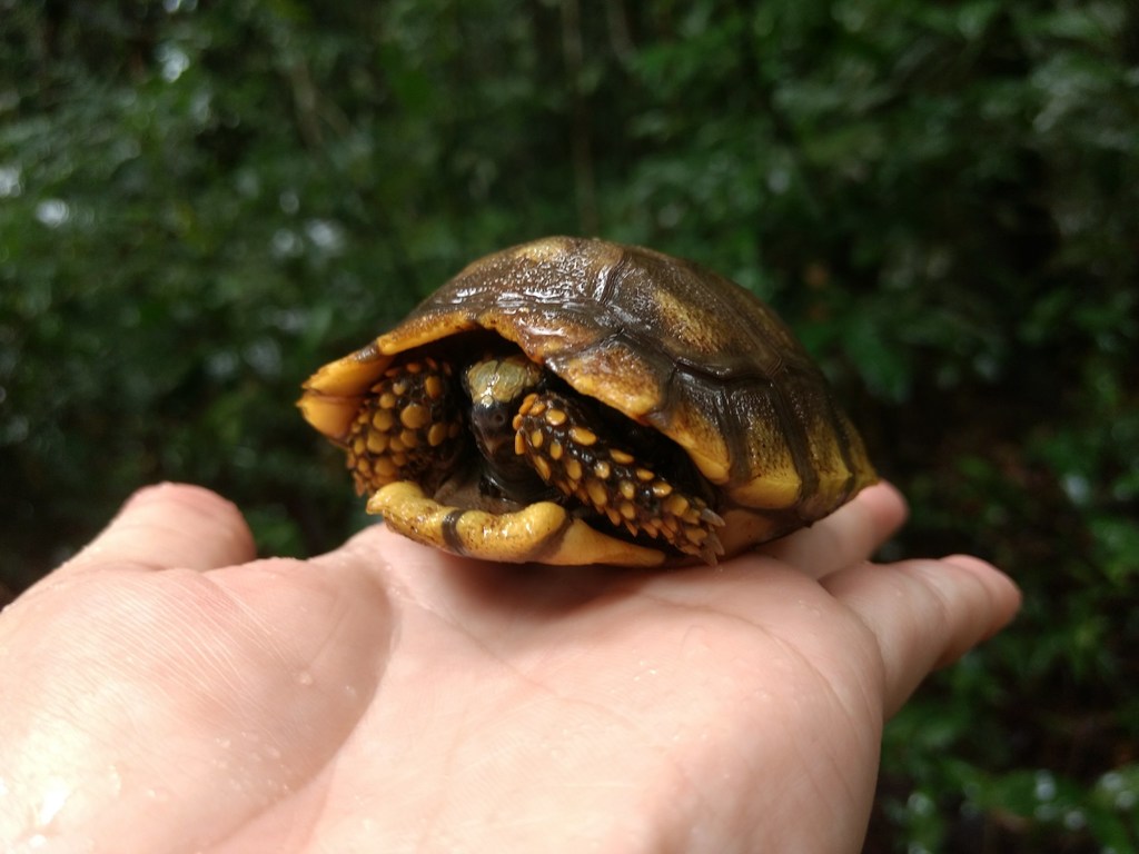 Photo by Sara Mineli Caioni Cardoso