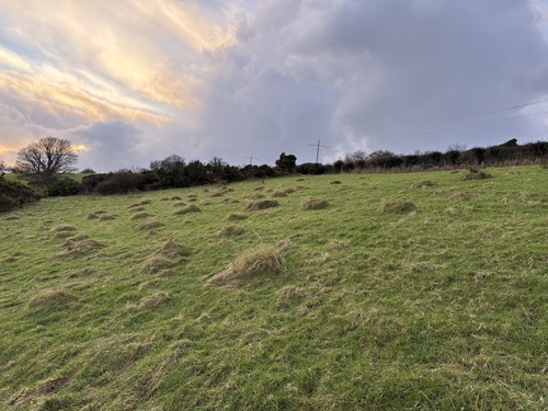 (c) David Bellamy, some rights reserved (CC BY-NC), uploaded by David Bellamy