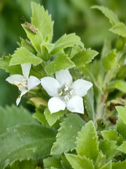 © dolordebarriga, some rights reserved (CC-BY-NC)