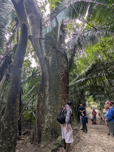 Foto de Timbaúba
