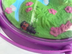 Nicrophorus marginatus