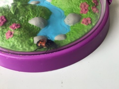 Nicrophorus marginatus