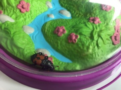 Nicrophorus marginatus